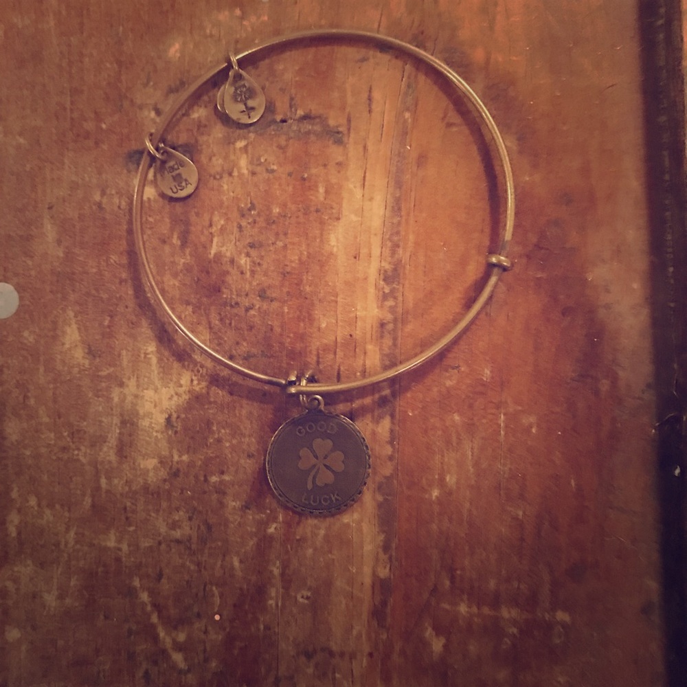 Alex and Ani “good luck” charm bracelet
